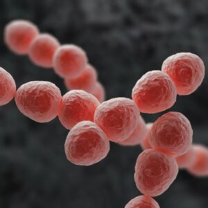 Death Within 48 Hours - Japan Grapples with Flesh-Eating Bacteria Surge - Mihiraa Healthcare Insight