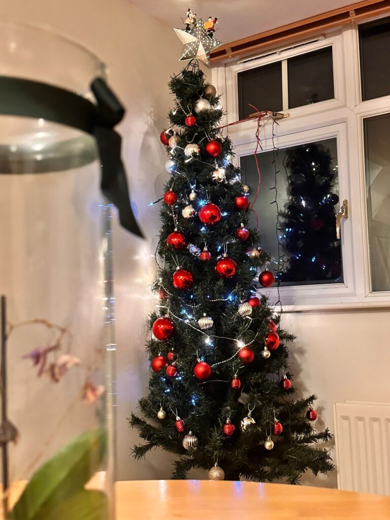Christmas Tree at Home | Mihiraa